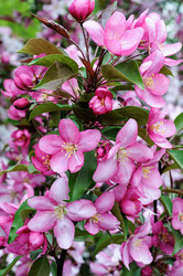 Similar image 22377398