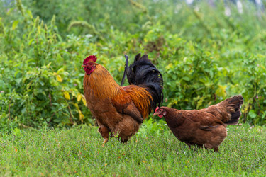 Similar image 22377399