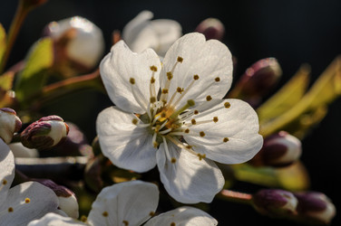 Similar image 22377405