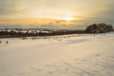 Similar image 22377406