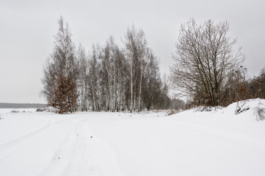 Similar image 22377407