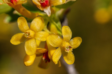 Similar image 22377408