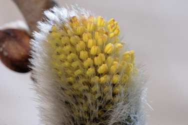 Similar image 22377409