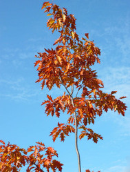 Similar image 22381762