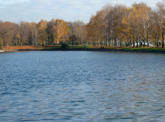 Similar image 22381771