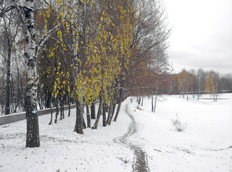 Similar image 22381774