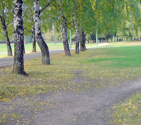 Similar image 22381788