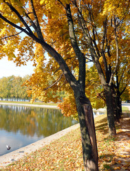 Similar image 22381802