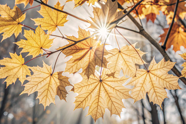 Similar image 22386444