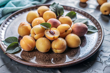 Similar image 22395027