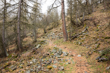 Similar image 22377510