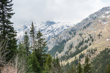 Similar image 22377529