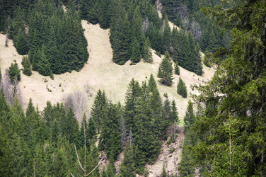 Similar image 22377540