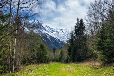 Similar image 22377542