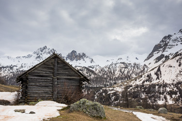 Similar image 22377546