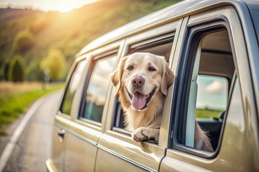 Similar image 22392609