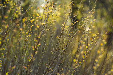 Similar image 22377248