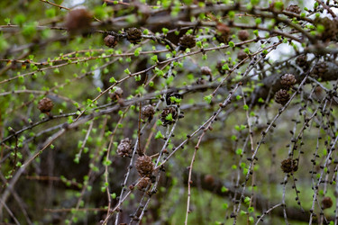 Similar image 22377249