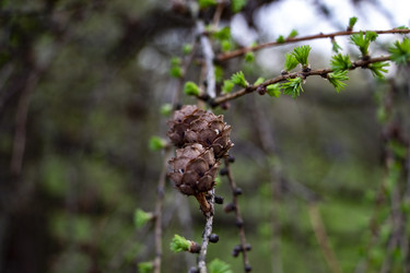 Similar image 22377251