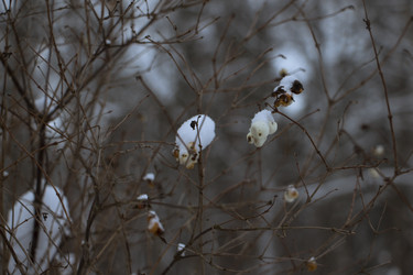 Similar image 22377252