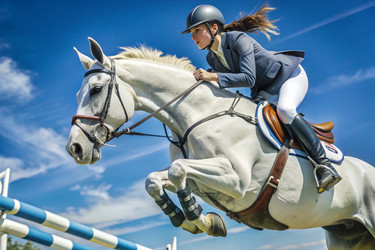 Similar image 22388562