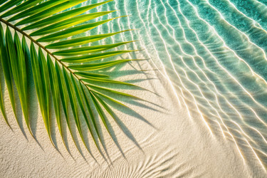 Similar image 22389382