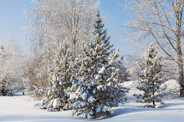 Similar image 22381433