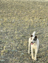 Similar image 22377270