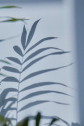 Similar image 22377290