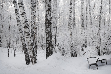 Similar image 22381434