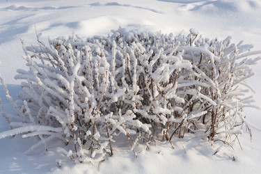 Similar image 22381435