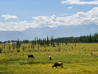 Similar image 22377275