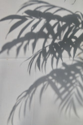 Similar image 22377292