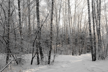 Similar image 22381442