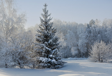 Similar image 22381443