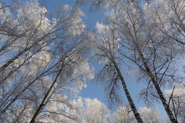 Similar image 22381444