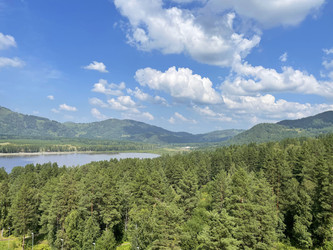 Similar image 22377276