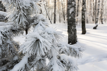 Similar image 22381445