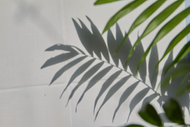 Similar image 22377298