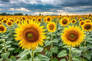 Similar image 22388611