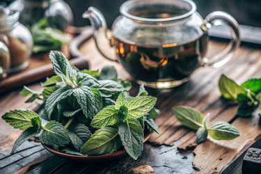 Similar image 22392039