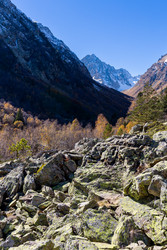 Similar image 22381666