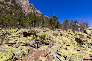 Similar image 22381694