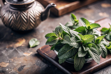 Similar image 22394234