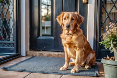 Similar image 22389336