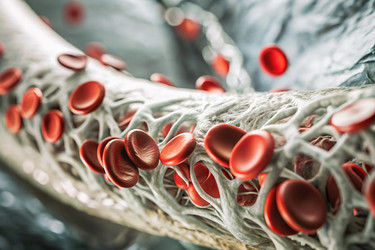 Similar image 22389695