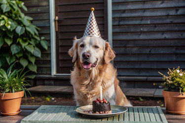 Similar image 22391192