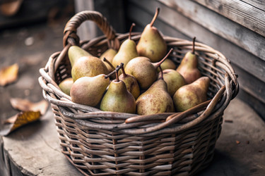 Similar image 22388907