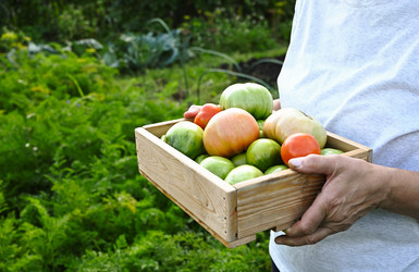 Similar image 22377301