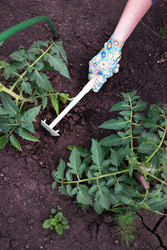 Similar image 22377323